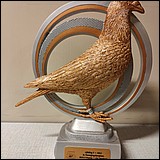 IMG20240106114027.jpg
