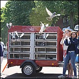 luchtkussenfestival2015-6.jpg