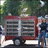 luchtkussenfestival2015-8.jpg