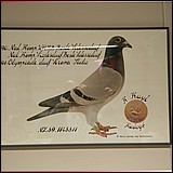 IMG_20170106_191904.jpg