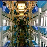 no10.jpg