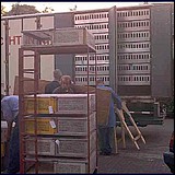 no11.jpg