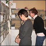 no42.jpg