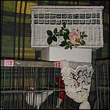 no43.jpg